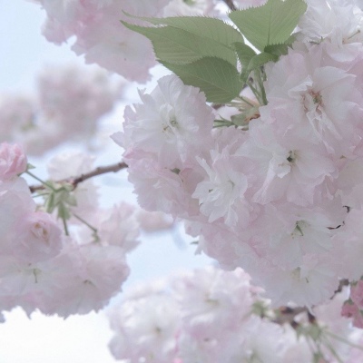 武清福瑞交流群